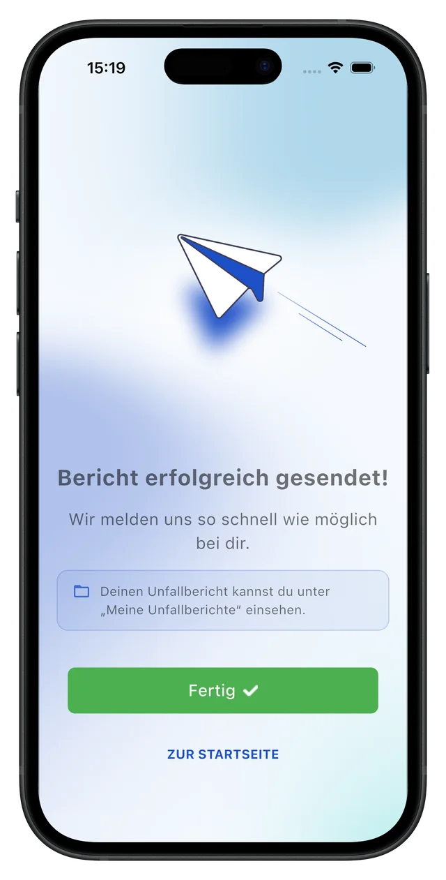 Schritt 6: Bericht erfolgreich übermitteln
